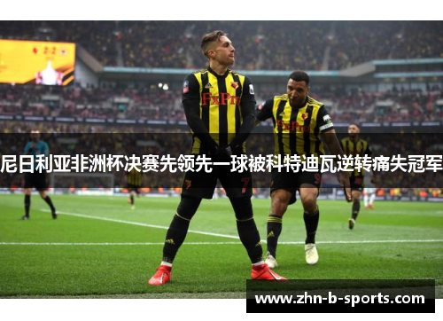 尼日利亚非洲杯决赛先领先一球被科特迪瓦逆转痛失冠军 尼日利亚非洲杯决赛先领先一球被科特迪瓦逆转痛失冠军